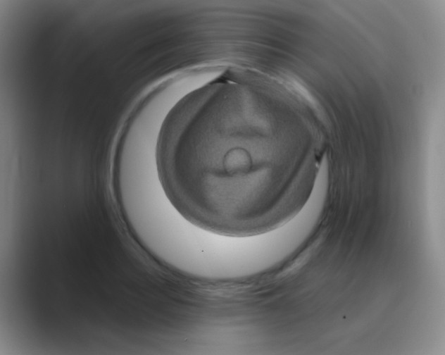 X0000088720940200706282101