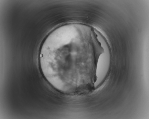 X0000088720941200706282101