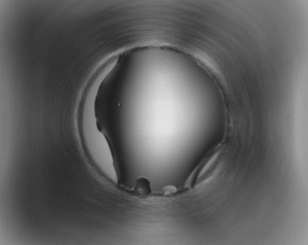 X0000088720942200706282101