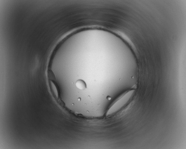 X0000088720943200706282101