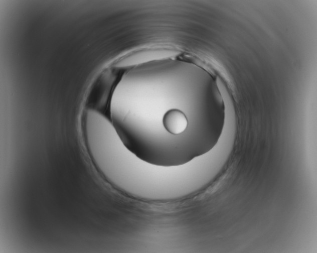 X0000088720944200706282101