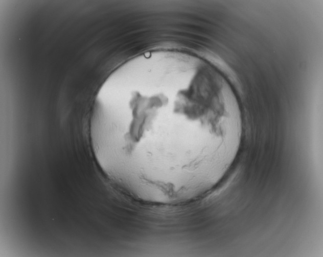 X0000088720945200706282101