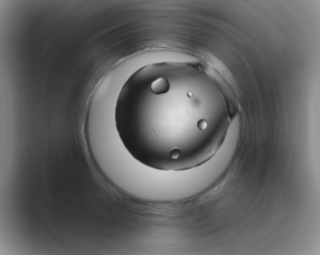 X0000088720946200706282101