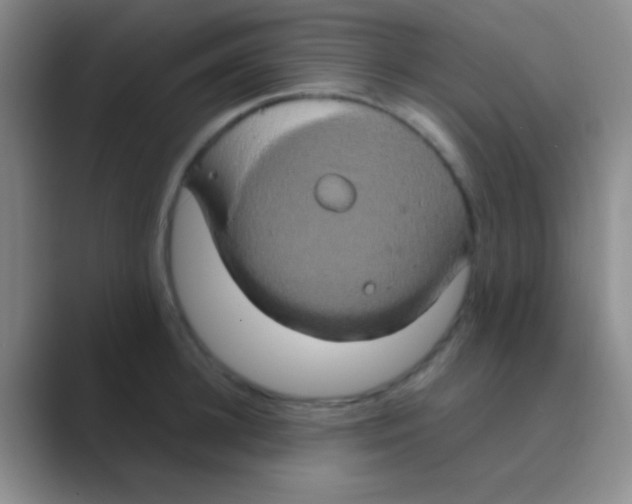 X0000088720948200706282101