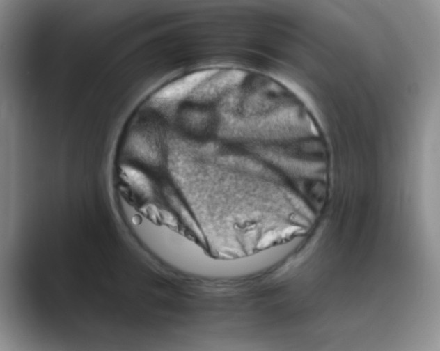 X0000088720949200706282101