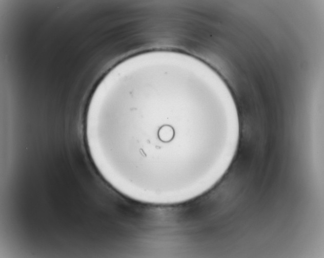 X0000088720950200706282101