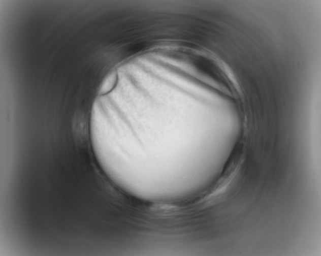 X0000088720953200706282101