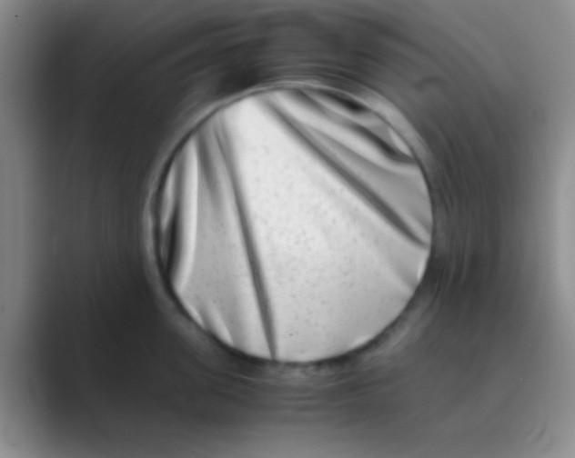 X0000088720955200706282101