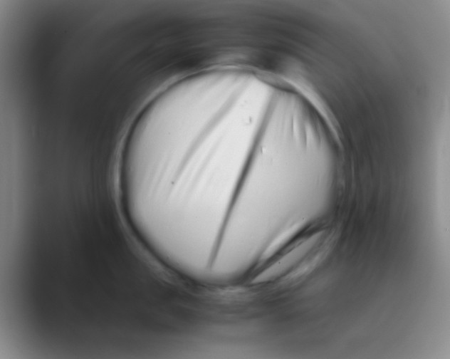 X0000088720957200706282101