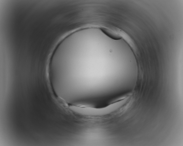 X0000088720958200706282101