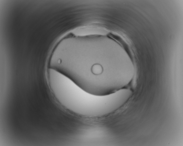 X0000088720960200706282101