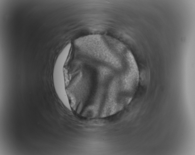 X0000088720963200706282100