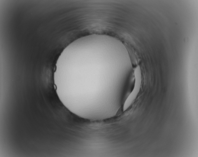 X0000088720964200706282100