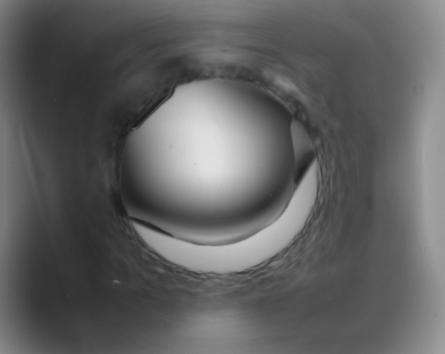 X0000088720965200706282100