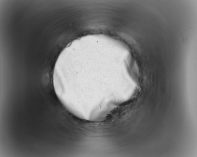 X0000088720966200706282100