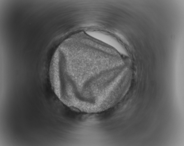 X0000088720967200706282100