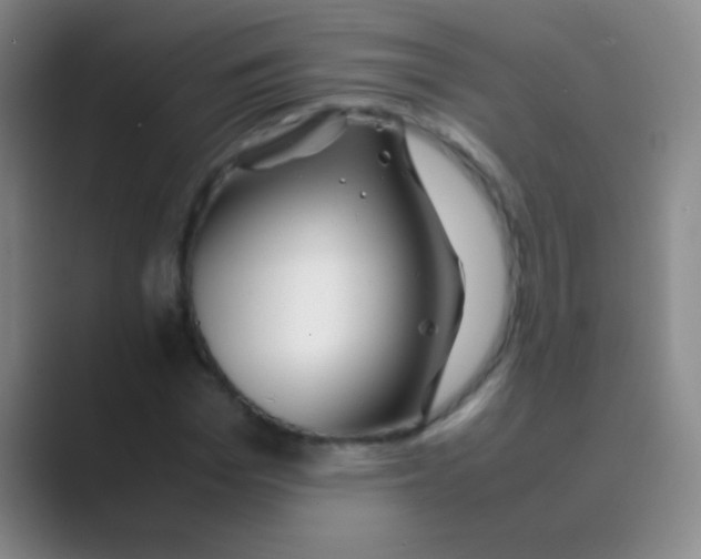 X0000088720969200706282100