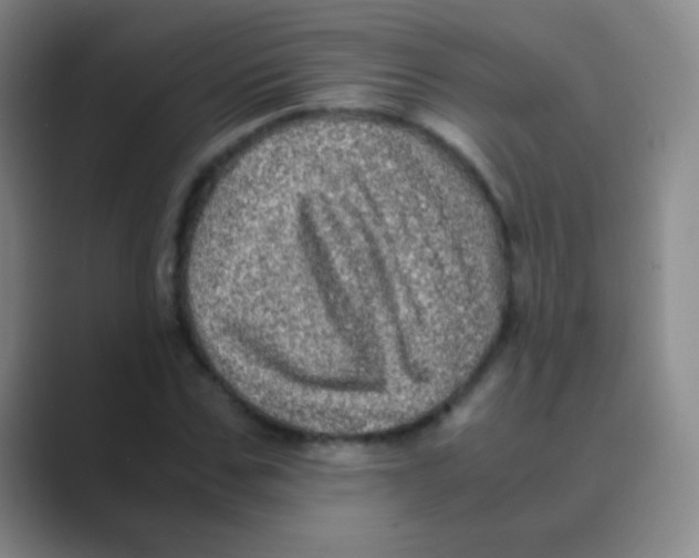 X0000088720971200706282100