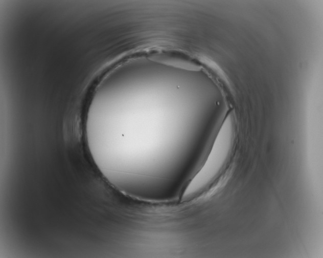 X0000088720973200706282100