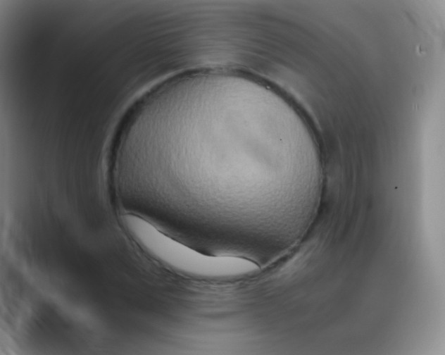 X0000088720975200706282100