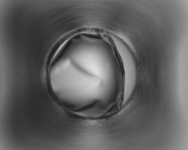 X0000088720976200706282100