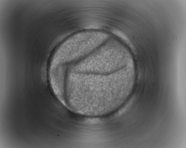 X0000088720978200706282100