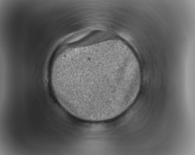 X0000088720979200706282100