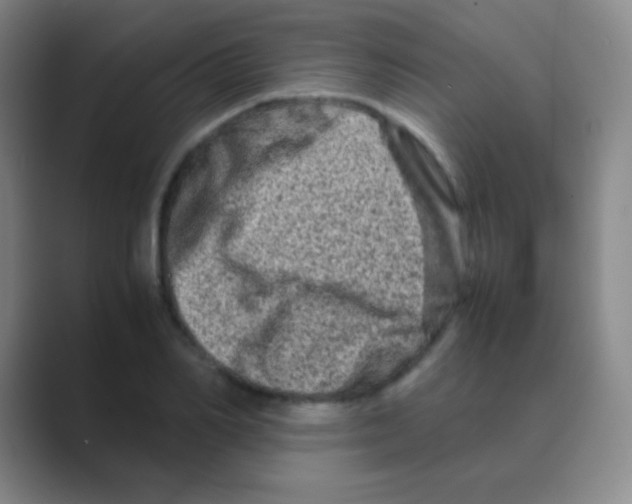 X0000088720982200706282100