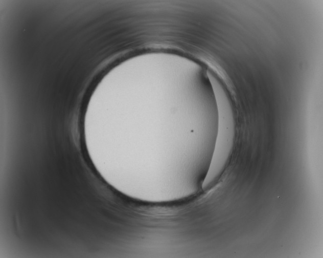 X0000088720984200706282100