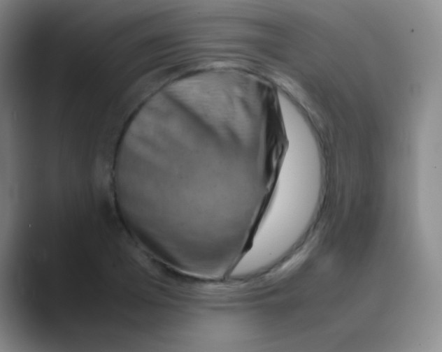 X0000088720985200706282100