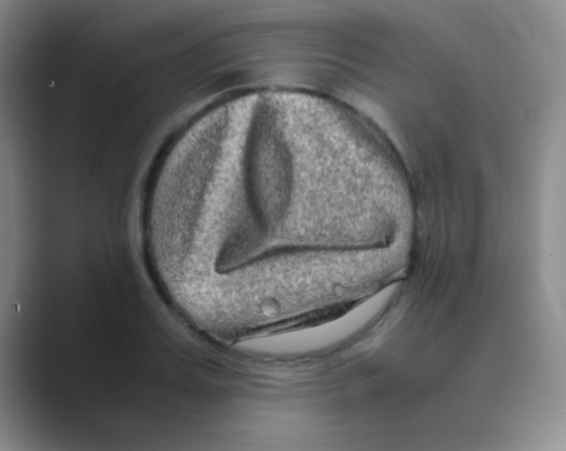 X0000088720987200706282100