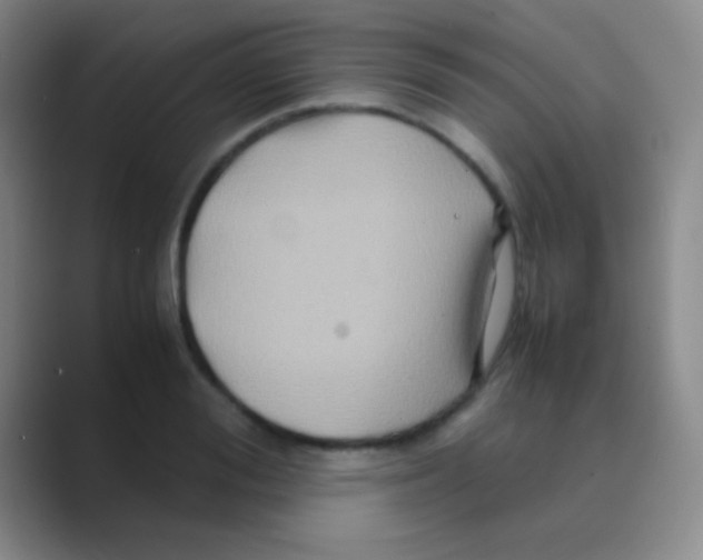 X0000088720988200706282100