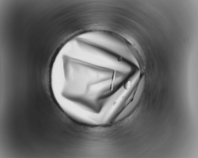 X0000088720992200706282100