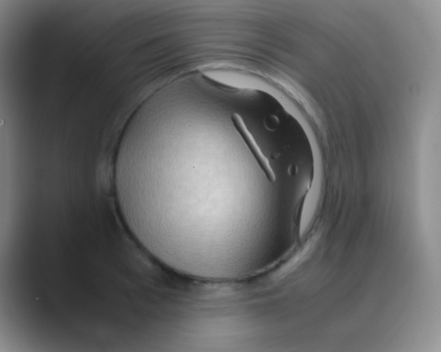 X0000088720993200706282100