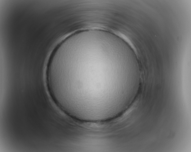 X0000088720995200706282100