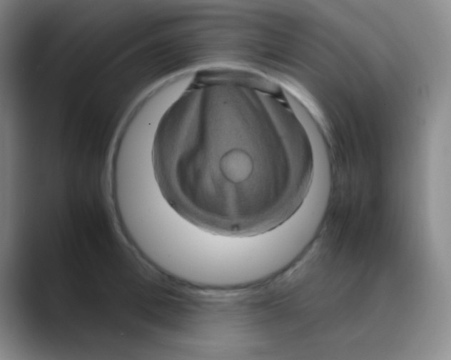 X0000088720996200706282100