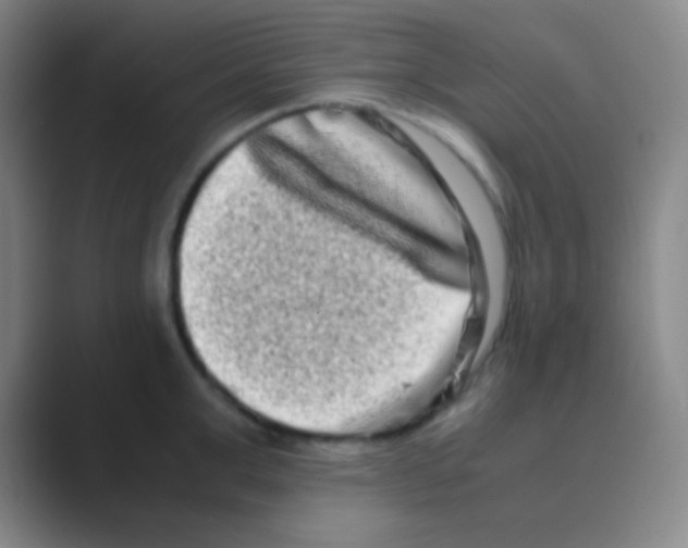 X0000088720999200706282100