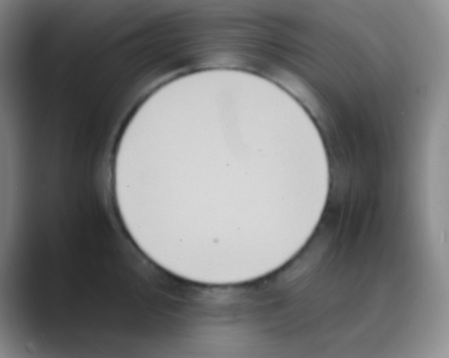 X0000088721000200706282100