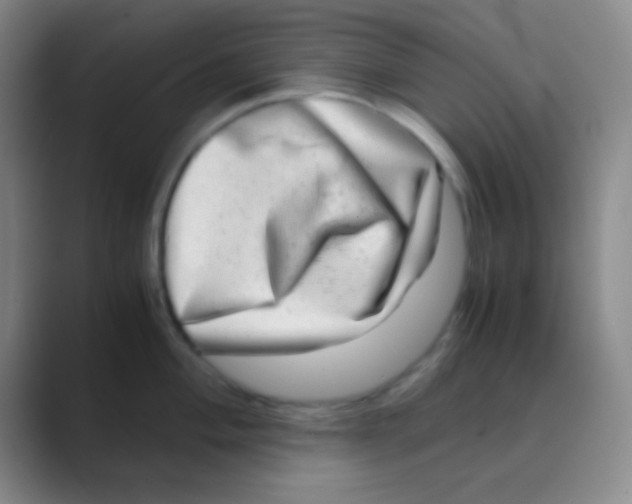 X0000088721004200706282100