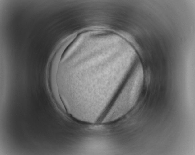 X0000088721006200706282100