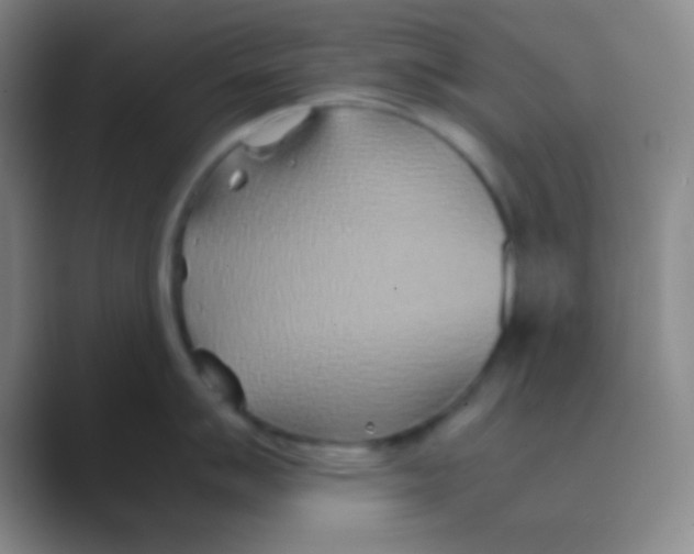 X0000088721007200706282100