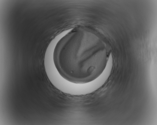 X0000088721010200706282059