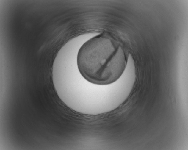 X0000088721012200706282059