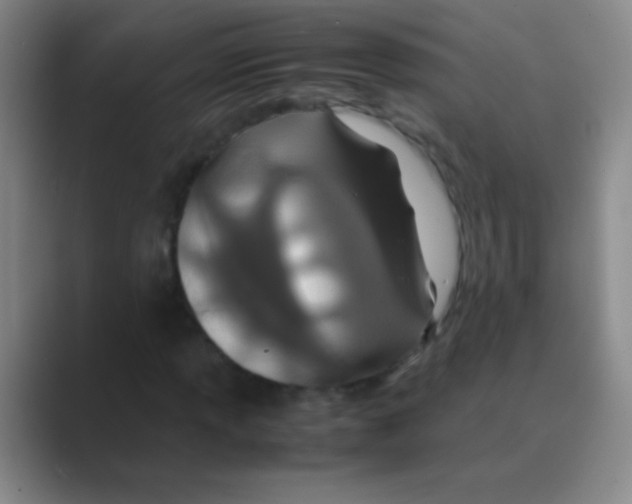 X0000088721013200706282059