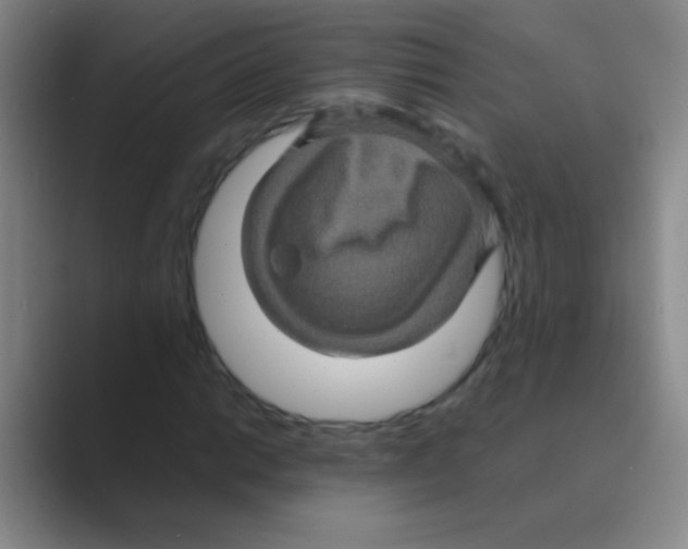 X0000088721014200706282059