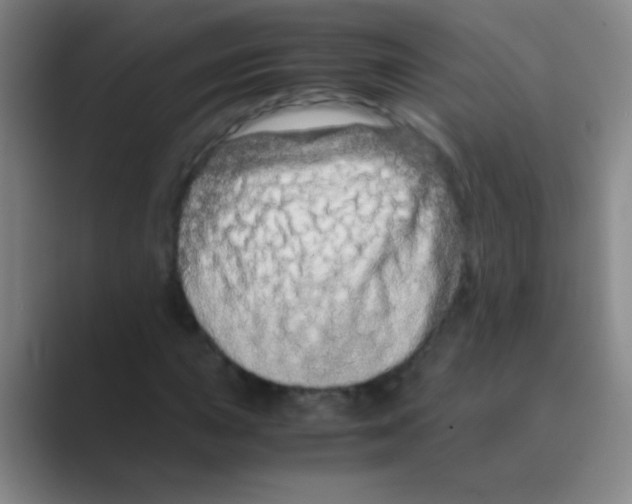 X0000088721015200706282059