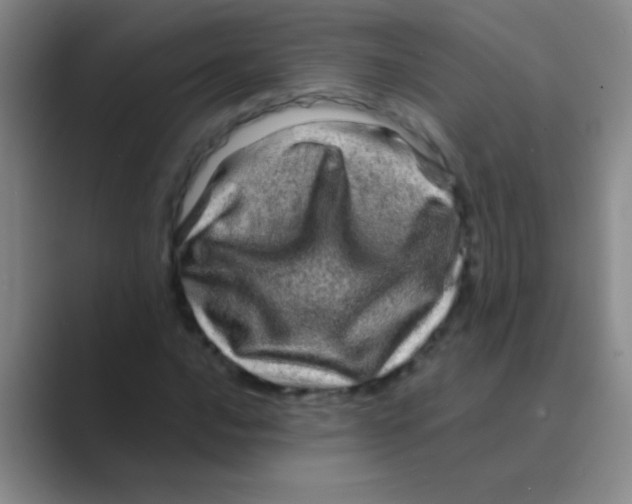 X0000088721016200706282059