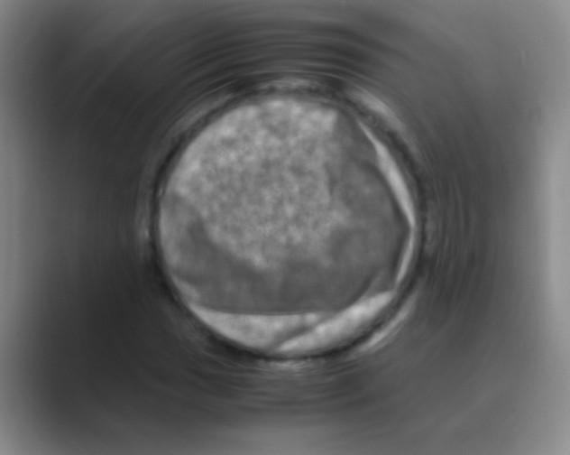 X0000088721017200706282059