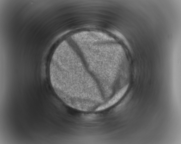 X0000088721019200706282059