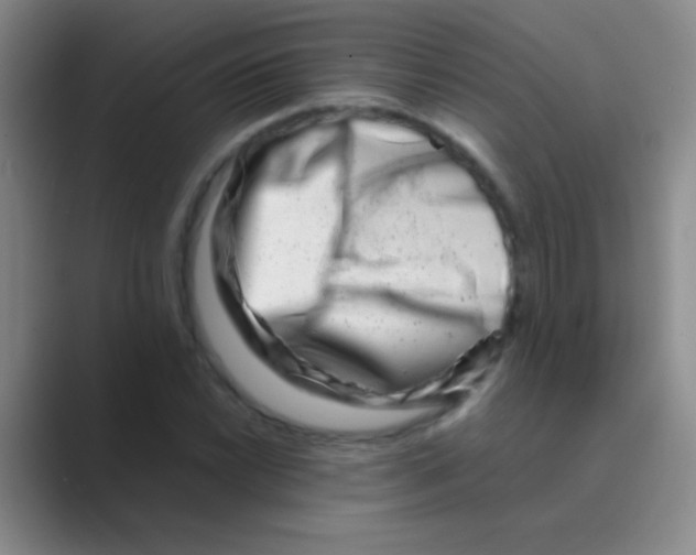 X0000088721022200706282059